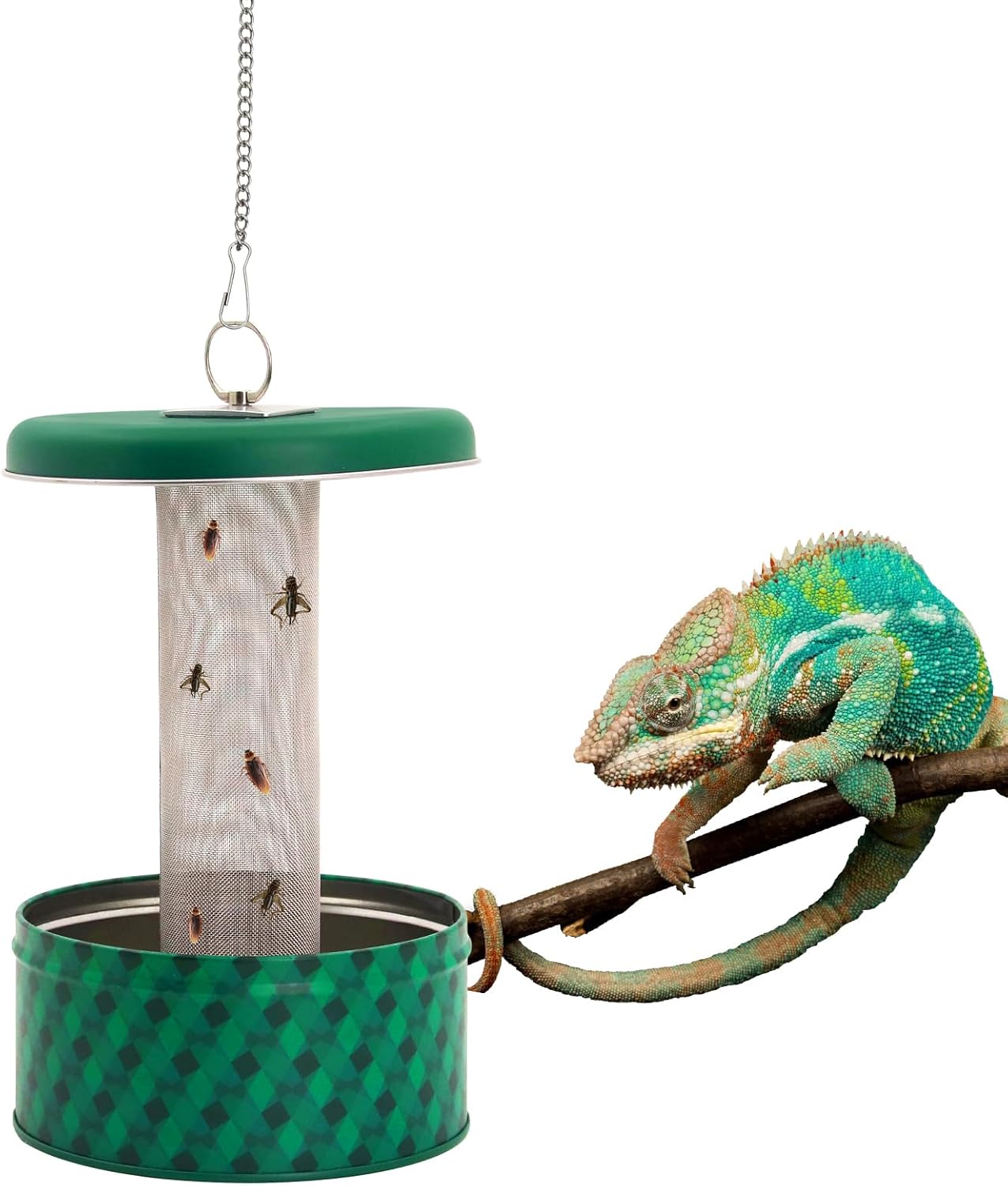 Water Dish Reptile - Bearded Dragon Feeder Chameleon Bug Bowl