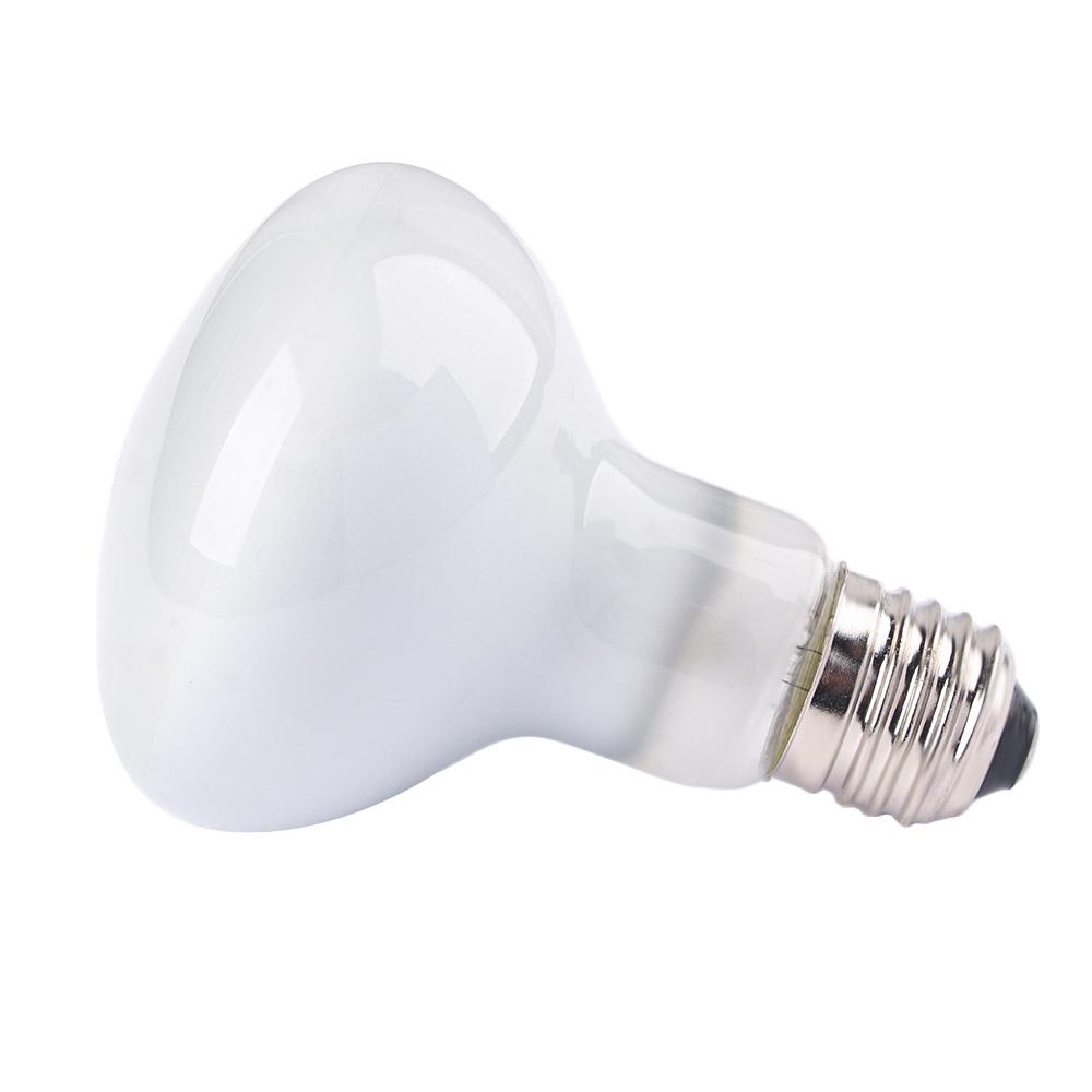 Amphibians Heater Heat Lamp UV - огляд і ціна Basking Bulb Halogen