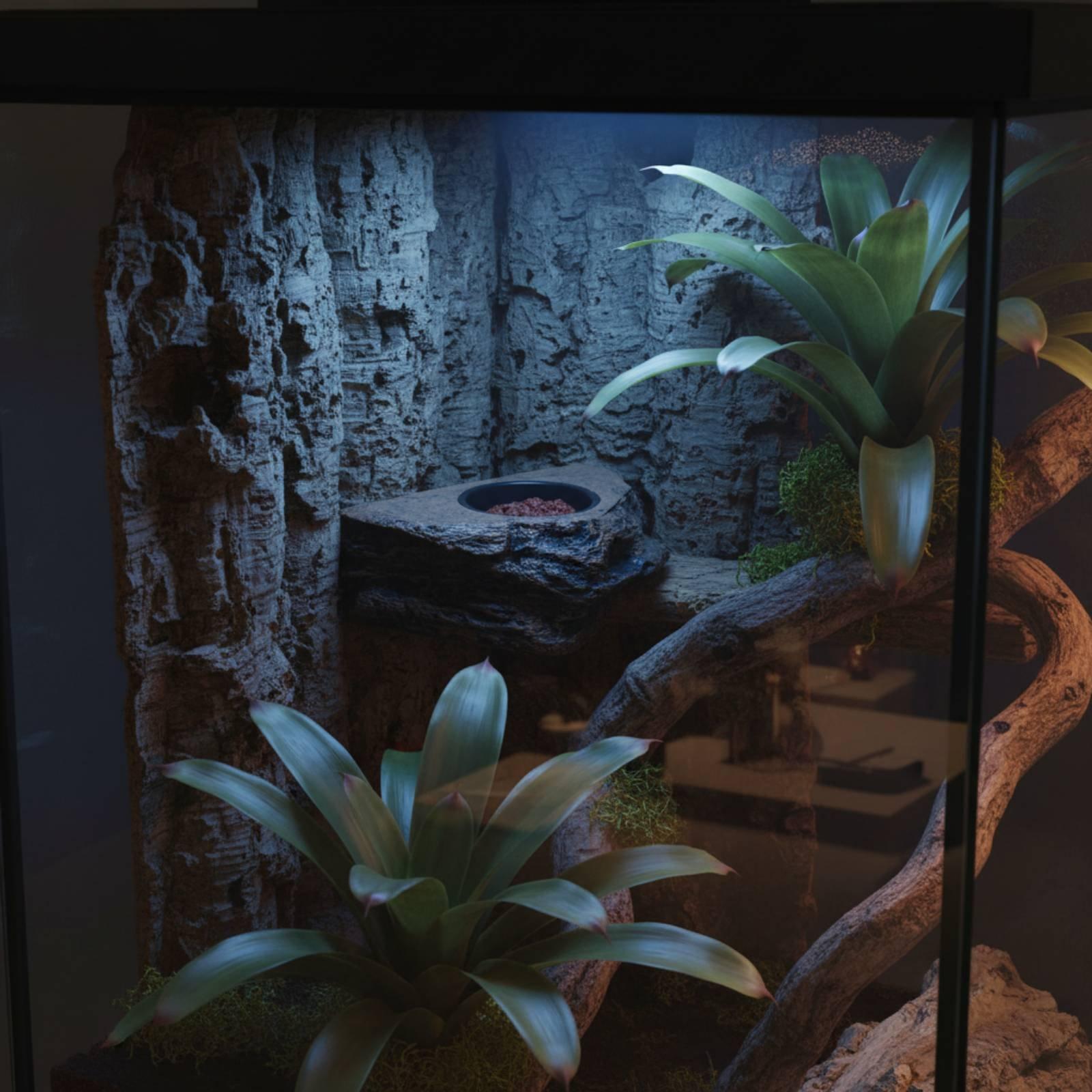 Gecko Food and Water Shelf Adj - огляд і ціна Water Dish Reptile