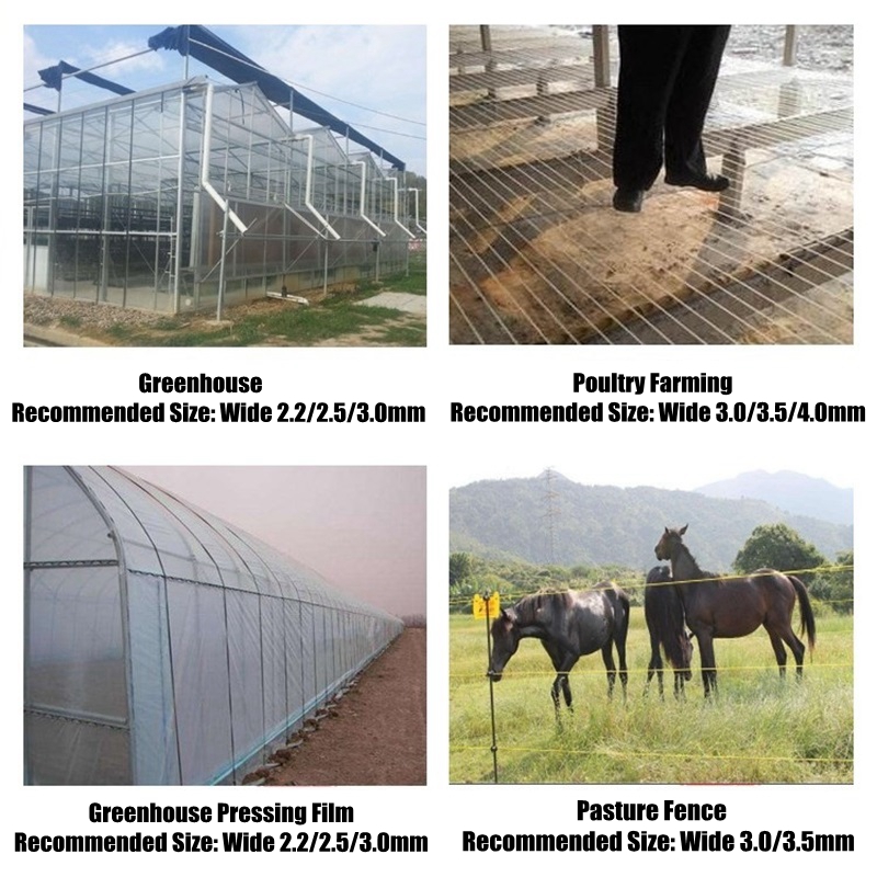50m Plastic Steel Wire Agricul - огляд і ціна Vine Climbing Plastic