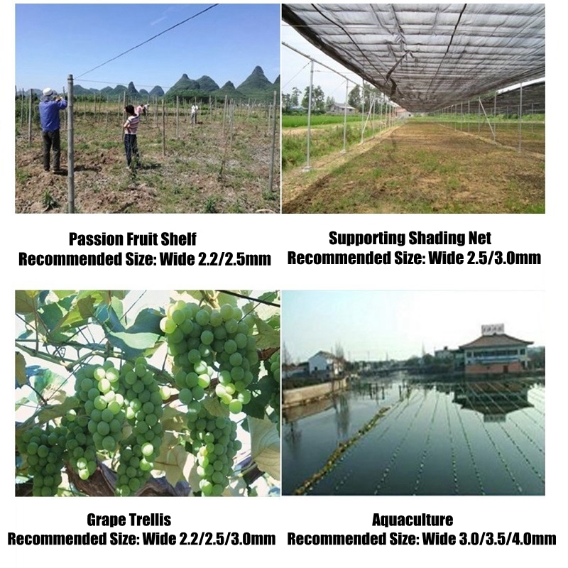 50m Plastic Steel Wire Agricul - огляд і ціна Vine Climbing Plastic