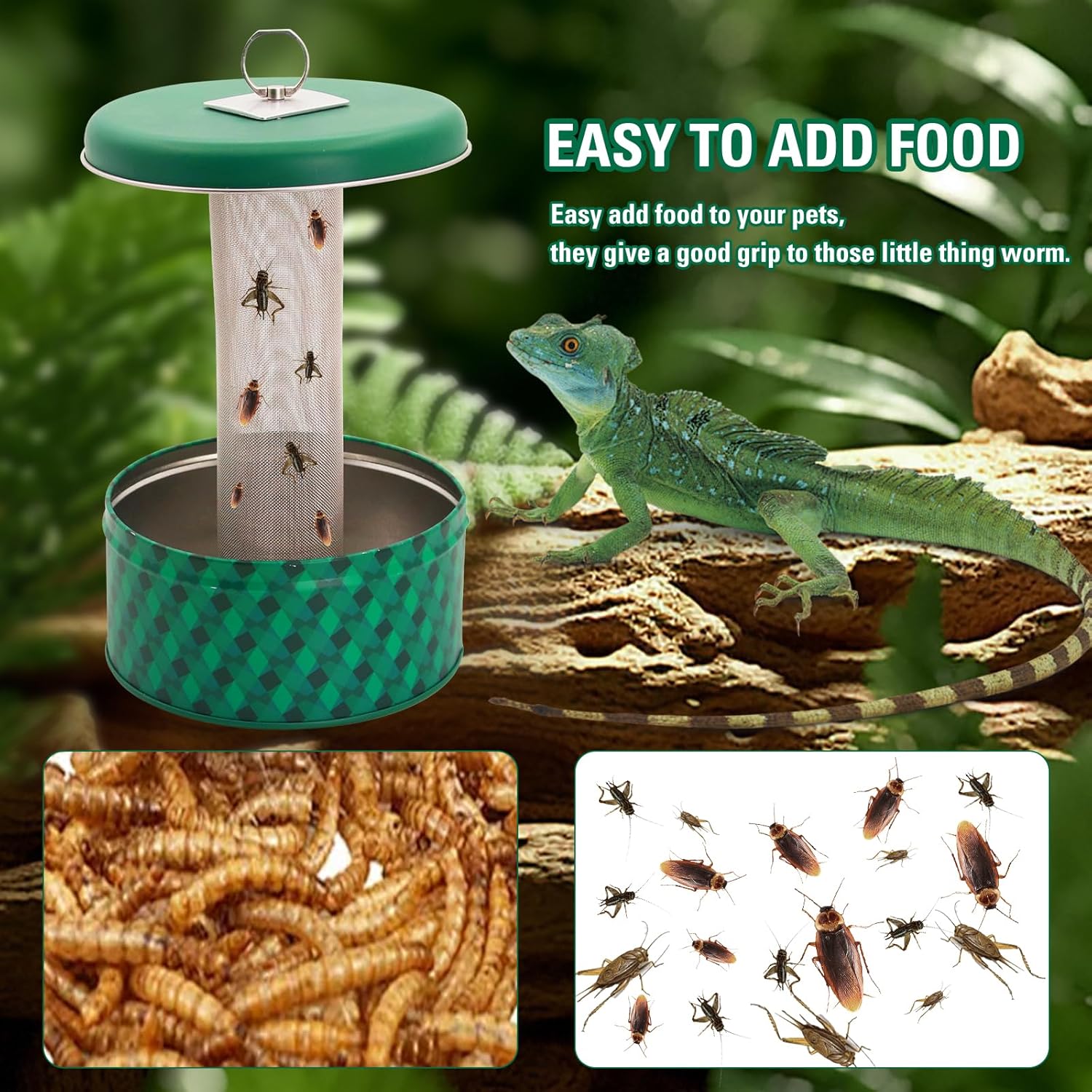 Bearded Dragon Feeder Chameleo - огляд і ціна Water Dish Reptile