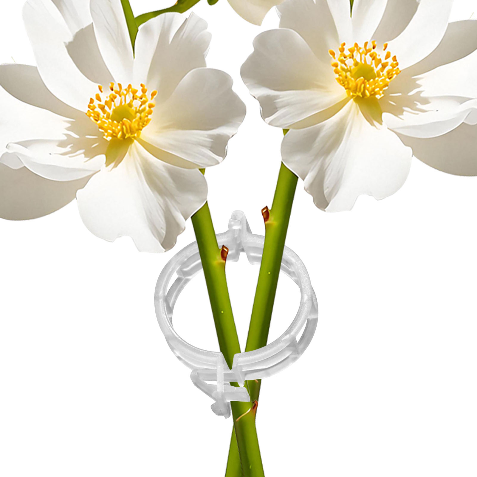 Secured Plastic Plant Clip for - огляд і ціна Vine Climbing Plastic