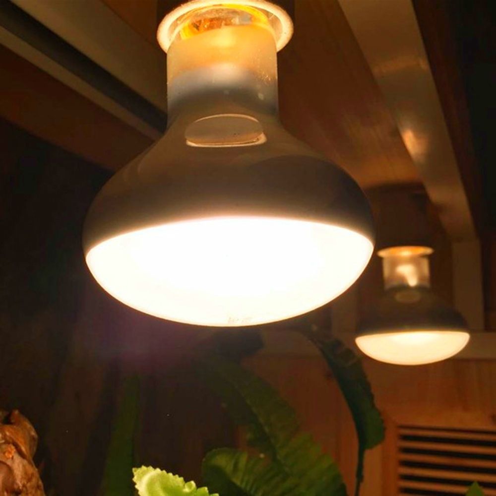 Turtle Heater Heat Lamp Reptil - огляд і ціна Basking Bulb Halogen