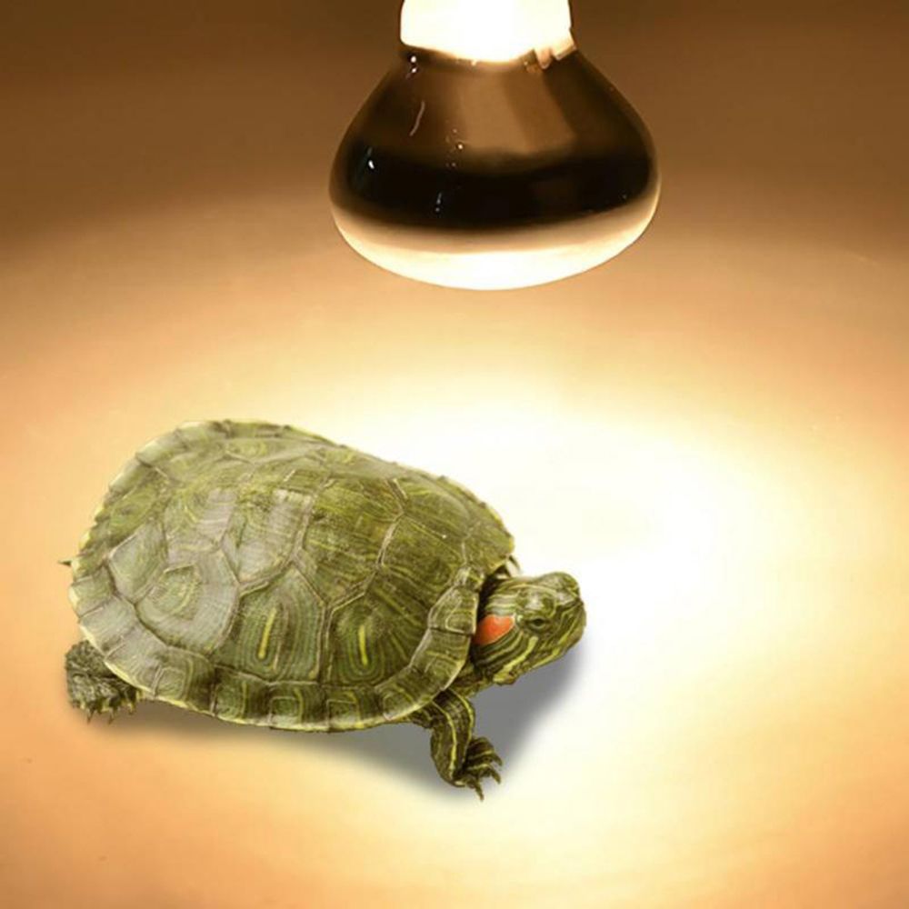 Turtle Heater Heat Lamp Reptil - огляд і ціна Basking Bulb Halogen